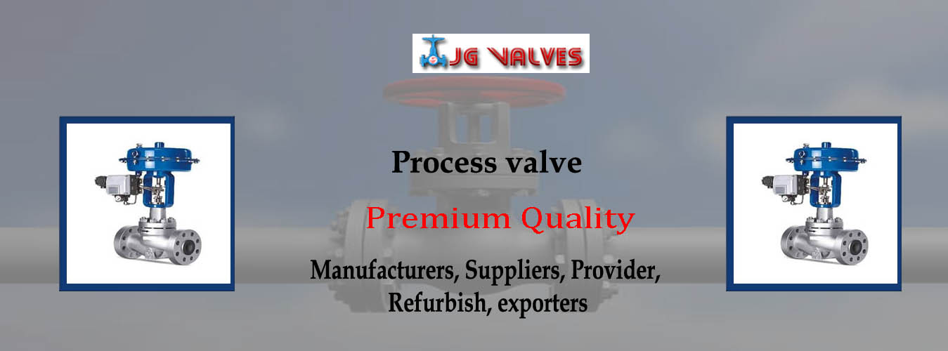 Process Valve Exporters